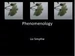 Phenomenology - slide 1