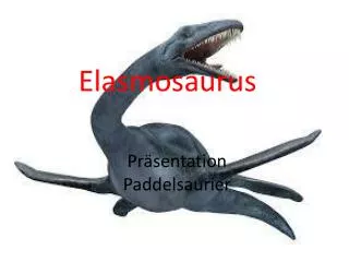 pr sentation paddelsaurier