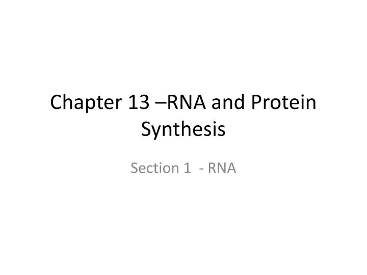 chapter 13 rna and protein synthesis