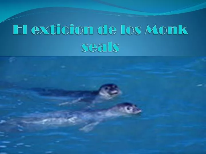 el exticion de los monk seals