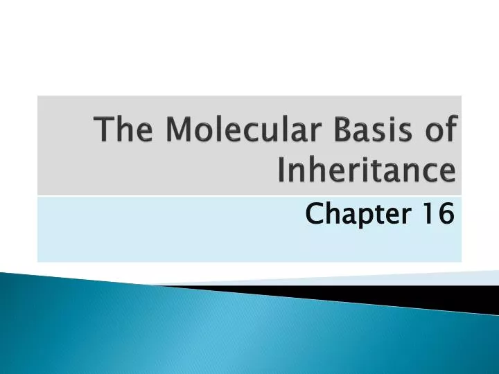 the molecular basis of inheritance