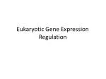 Eukaryotic Gene Expression Regulation