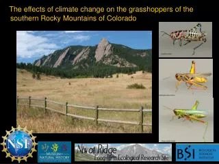 The effects of climate change on the grasshoppers of the