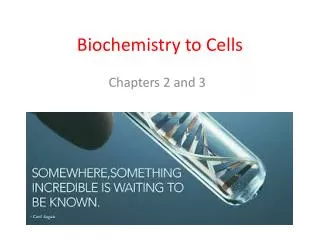 Biochemistry to Cells