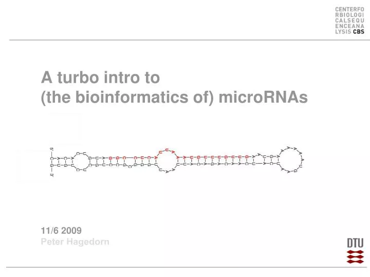 a turbo intro to the bioinformatics of micrornas 11 6 2009 peter hagedorn
