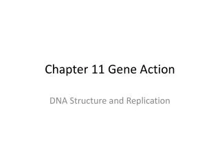 Chapter 11 Gene Action