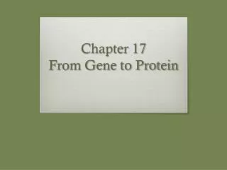 Chapter 17 From Gene to Protein