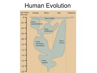 Human E volution