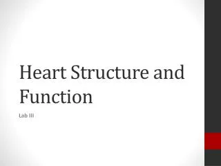 Heart Structure and Function