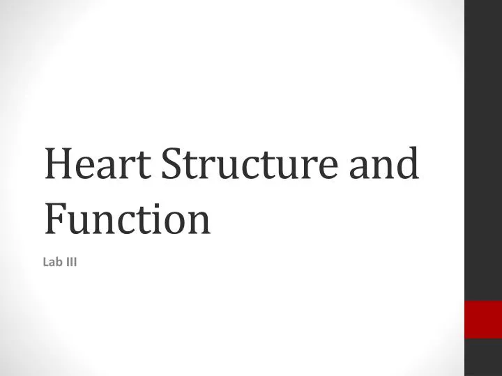 heart structure and function