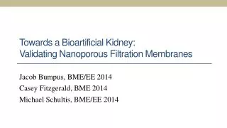 Towards a Bioartificial Kidney: Validating Nanoporous Filtration Membranes