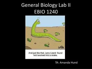General Biology Lab II EBIO 1240