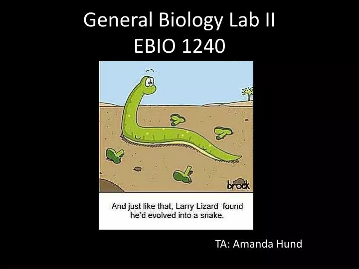 general biology lab ii ebio 1240