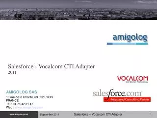 Salesforce - Vocalcom CTI Adapter 2011