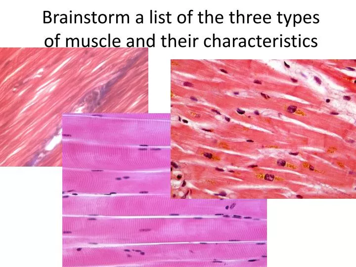 brainstorm a list of the three types of muscle and their characteristics
