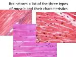 PPT - The Three Types of Muscle PowerPoint Presentation, free download ...