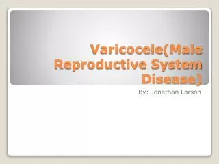 Varicocele (Male Reproductive System Disease)