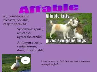 Affable