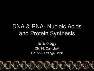 DNA &amp; RNA- Nucleic Acids and Protein Synthesis