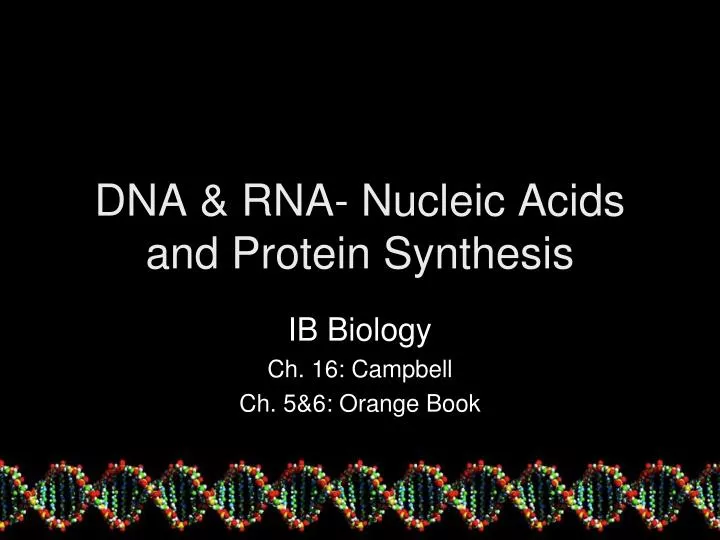 dna rna nucleic acids and protein synthesis