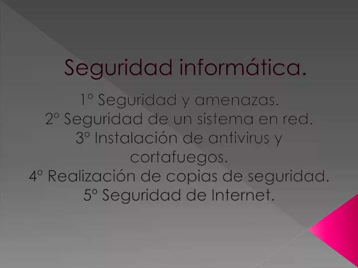 seguridad inform tica