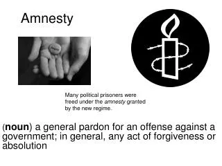 Amnesty