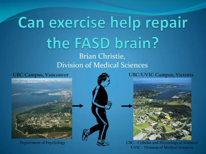 can exercise help repair the fasd brain
