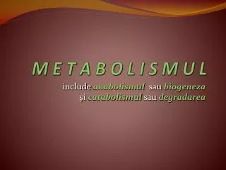 m e t a b o l i s m u l