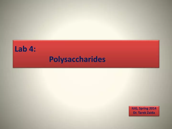 lab 4 polysaccharides