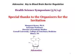 Adenosine: Key to Blood Brain Barrier Regulation Health Science Symposium ( 5 /6/14)