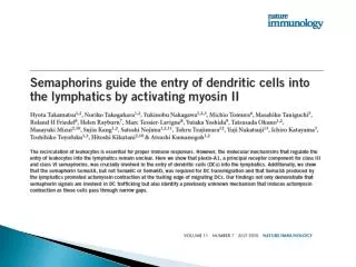 What are dendritic cells and what do they do?