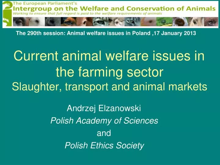 current animal welfare issues in the farming sector slaughter transport and animal markets