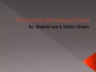 Temperate Deciduous Forest