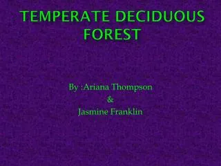 temperate deciduous forest