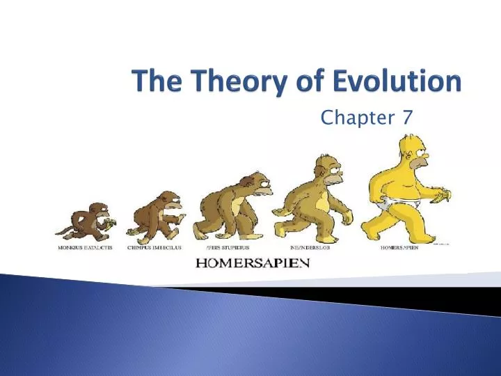 the theory of evolution