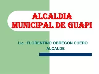 alcaldia municipal de guapi