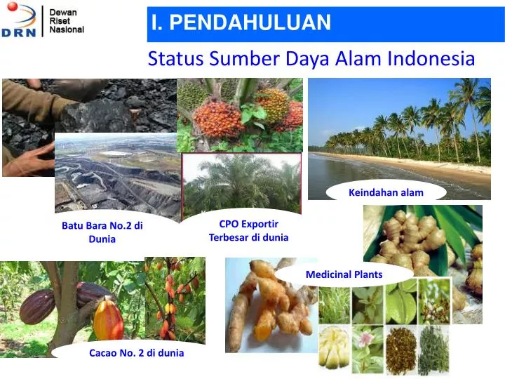 status sumber daya alam indonesia