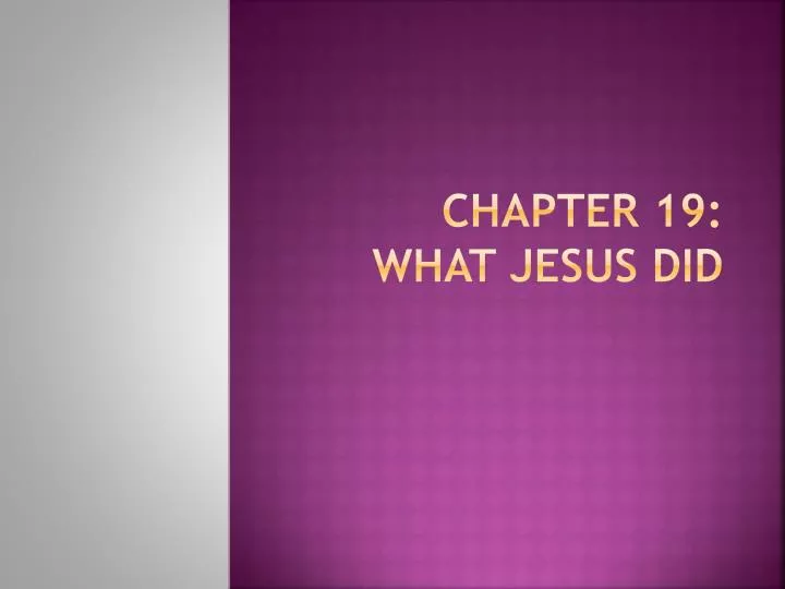 chapter 19 what jesus did