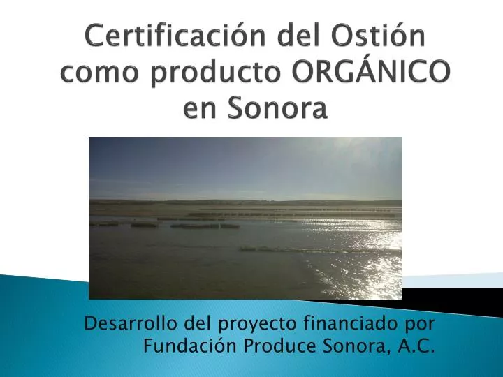 certificaci n del osti n como producto org nico en sonora