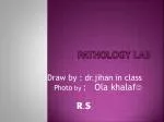 PATHOLOGY LAB - slide 1
