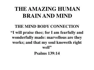 THE AMAZING HUMAN BRAIN AND MIND