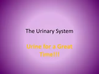 The Urinary System