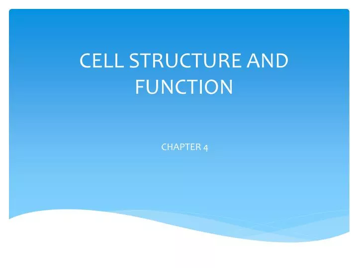 cell structure and function