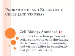 Prokaryotic and Eukaryotic Cells (and viruses)