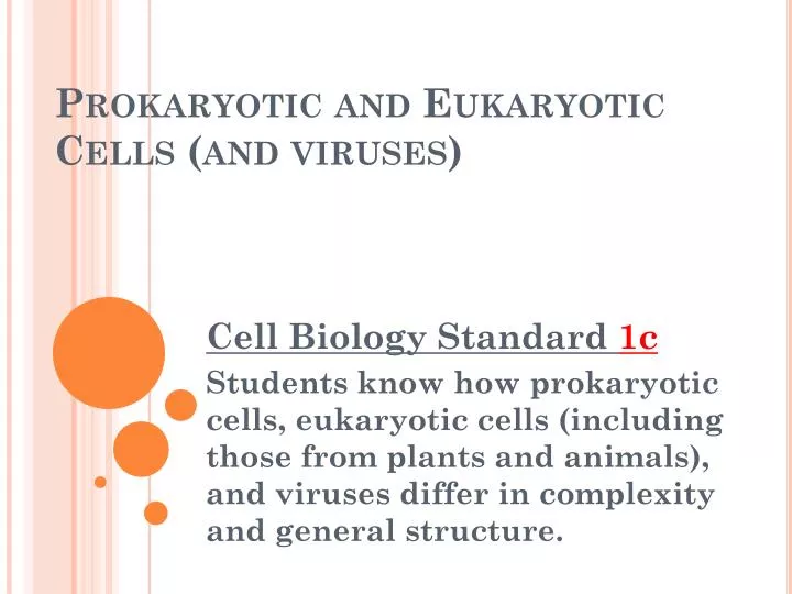 prokaryotic and eukaryotic cells and viruses
