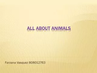 All about animals