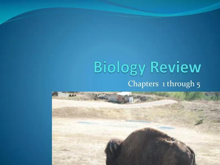 biology review