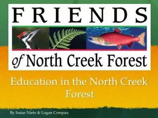 Education in the North Creek Forest