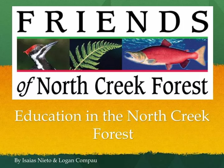 education in the north creek forest