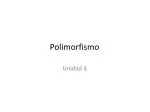 Polimorfismo - slide 1
